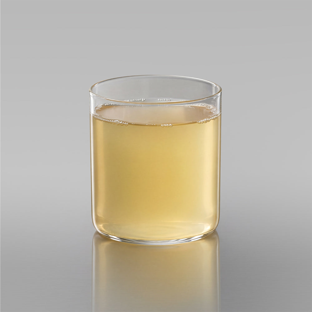 Homemade Kombucha